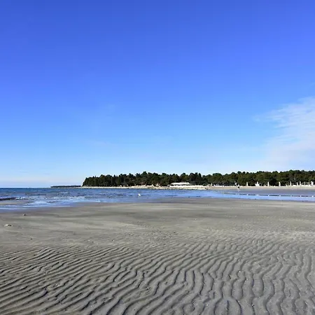 Geraeumige In Punta In Strandnaehe- By Interhome 아파트